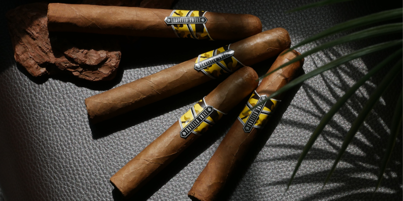 EXCLUSIVE to C.Gars