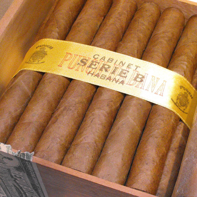 Punch Serie B Cabinet of 50