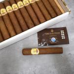 Bolivar Royal Corona Cigar - 1 Single