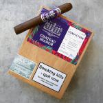 Chateau Diadem Conviction Toro Cigar - Box of 12