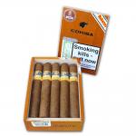 Cohiba Siglo VI Cigar - Box of 10 - EMS Box Code: LGB MAY 21