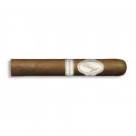 Davidoff Signature 6000 Robusto Cigar - 1 Single