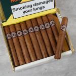 Montecristo Open J Cigar - Box of 20