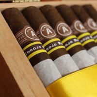 Aladino Corojo Reserva Robusto Cigar - Box of 20