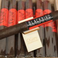 Blackbird Crow Corona Cigar - Box of 28