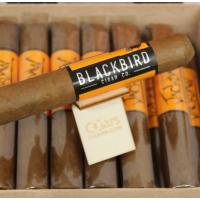 Blackbird JackDaw Robusto Cigar - 1 Single