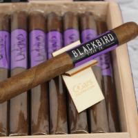 Blackbird Unkind Corona Cigar - Box of 28