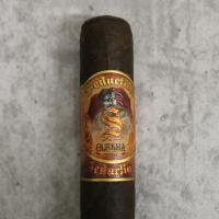 Gurkha Seduction Robusto Cigar - Pack of 4