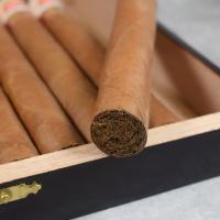 LCDH Hoyo de Monterrey Escogidos Cigar - 1 Single
