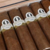 Oliva Orchant Seleccion Chubby Cigar - Box of 10
