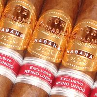 Por Larranaga Magnificos Humidor - Full - 50 Magnificos cigars