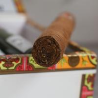 Punch Petit Coronations Tubed Cigar - 1 Single