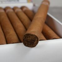 Ramon Allones Gigantes Cigar - 1 Single