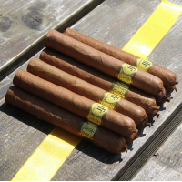 Trinidad Reyes Cigar - 1 Single