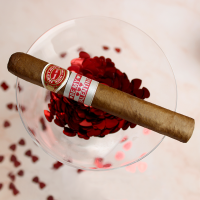 Romeo y Julieta Petit Corona Cigar - 1 Single (Be my Valentine Band)