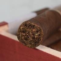 Oliva Serie V - Belicoso Cigar - 1 Single