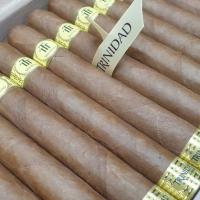 Trinidad Robusto Extra Travel Humidor - 14 Cigars