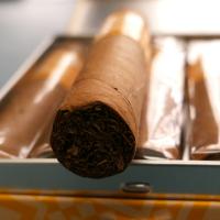 Zino Nicaragua Half Corona Cigar - 1 Single