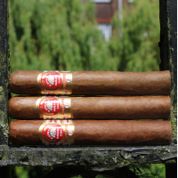 H. Upmann Connoisseur No. 2 Cigar - 1 Single