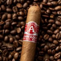 Aladino Cameroon Robusto Cigar - 1 Single