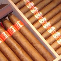 NEW Partagas Branded Humidor 2008