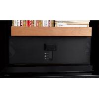 Swisscave Cigar Cabinet Black Climate Controlled Humidor - 800 Capacity