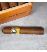 Cohiba Robustos Cigar - 1 Single