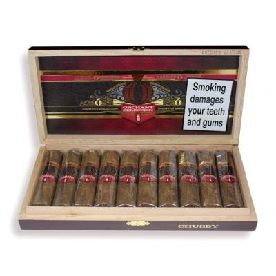 Alec Bradley Orchant Seleccion Chubby Cigar - Box of 10