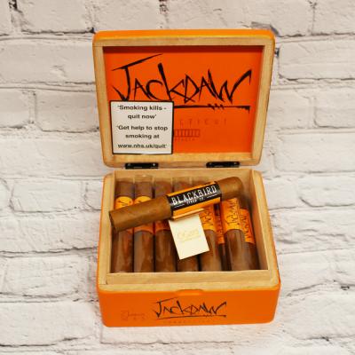 Blackbird JackDaw Robusto Cigar - Box of 21