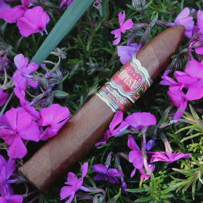 Arturo Fuente - Dominican - C.Gars Exclusive