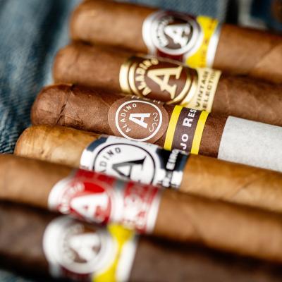 Aladino - Honduran - C.Gars Exclusive
