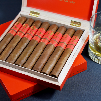Plasencia Orchant Seleccion - C.Gars Exclusive