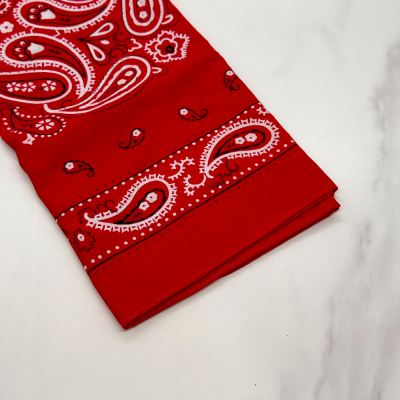 Wilsons of Sharrow Snuff Red Paisley Pattern Handkerchief