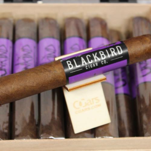 Blackbird Unkind Robusto Cigar - Box of 21