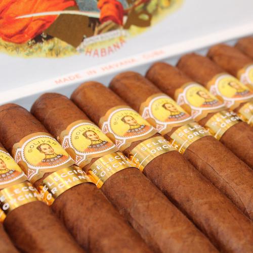 Bolivar Royal Coronas - Orchant SelecciÃ³n 2016 Cigar - Box of 25
