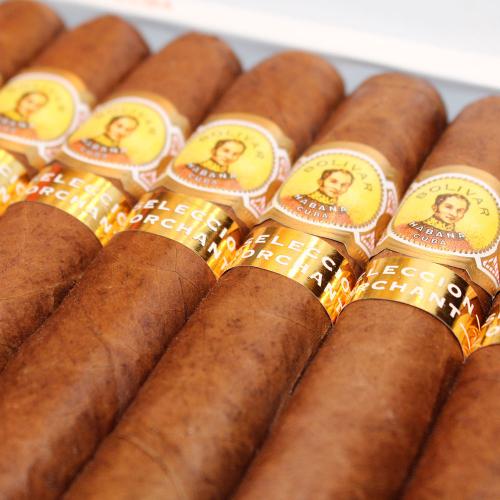 Bolivar Royal Coronas - Orchant SelecciÃ³n 2016 Cigar - Box of 25