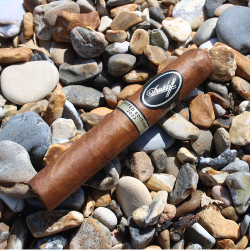 Davidoff Discovery Limited Edition 2022 Gran Toro Cigar - 1 Single