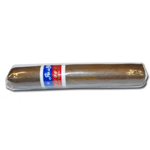 Flor de Oliva Original Robusto Cigar - Cab of 25