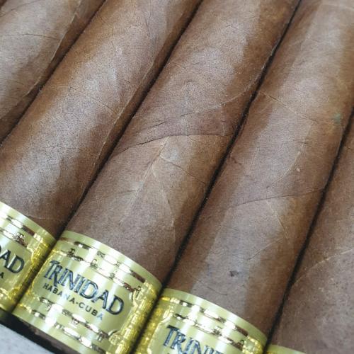 Trinidad Robusto Extra Travel Humidor - 14 Cigars