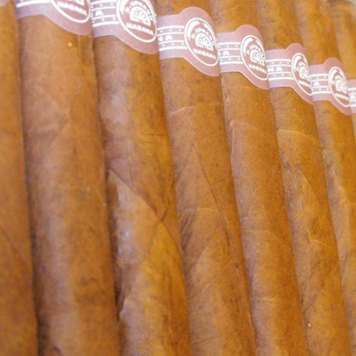 H. Upmann Monarchs Cigar (Vintage 2001) - Box of 25