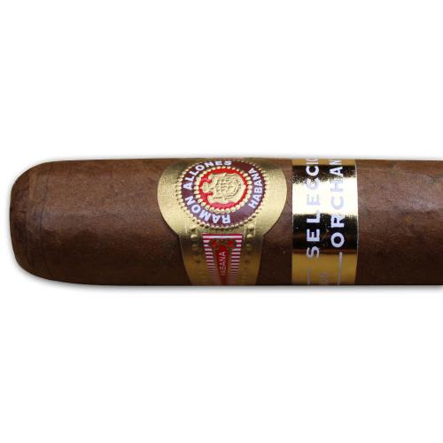 Ramon Allones Specially Selected Orchant Seleccion 2015 Cigar - 1 Single